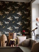 Space Adventure, Svart