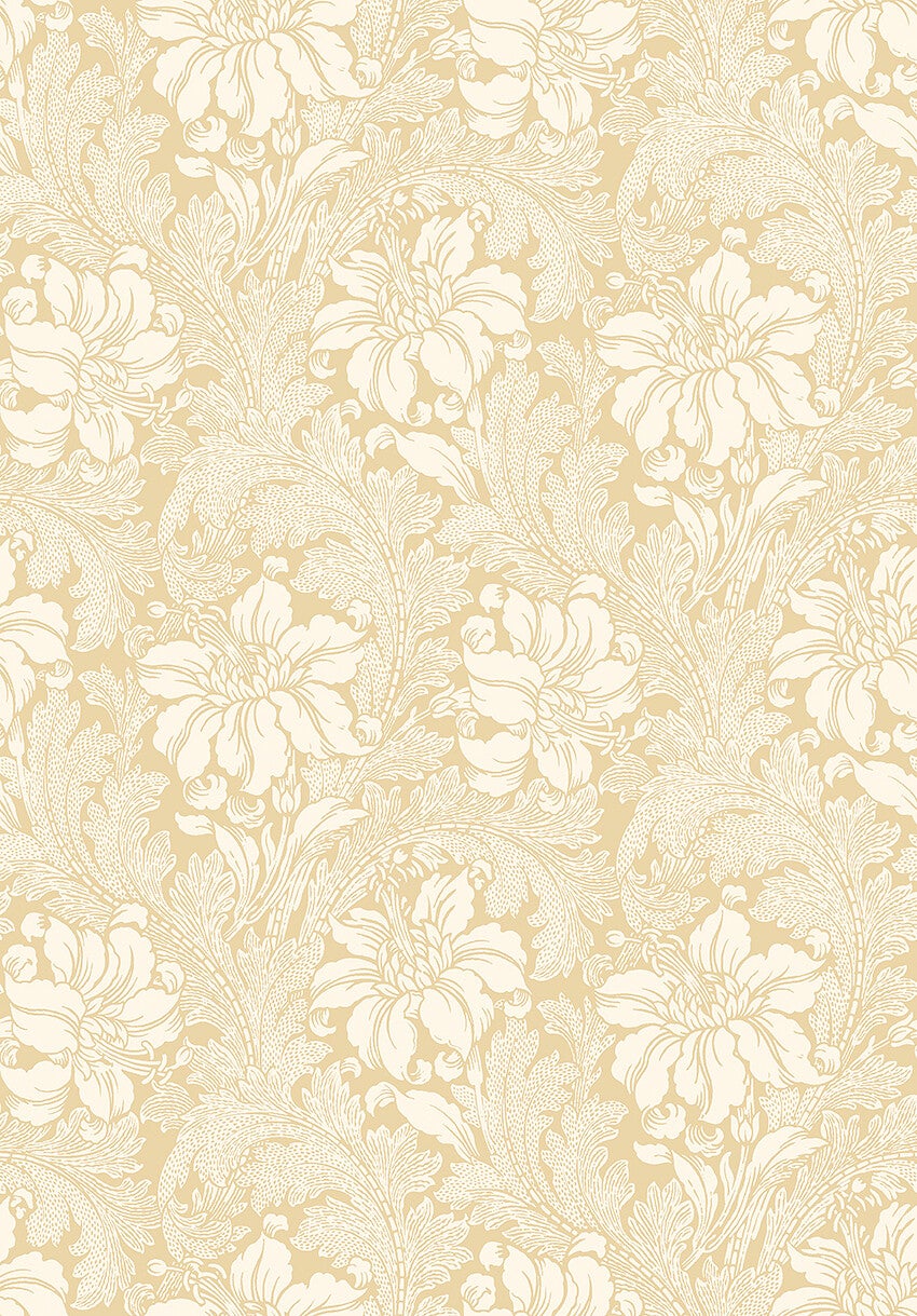 Acanthus storblommig, ljusbeige/gul