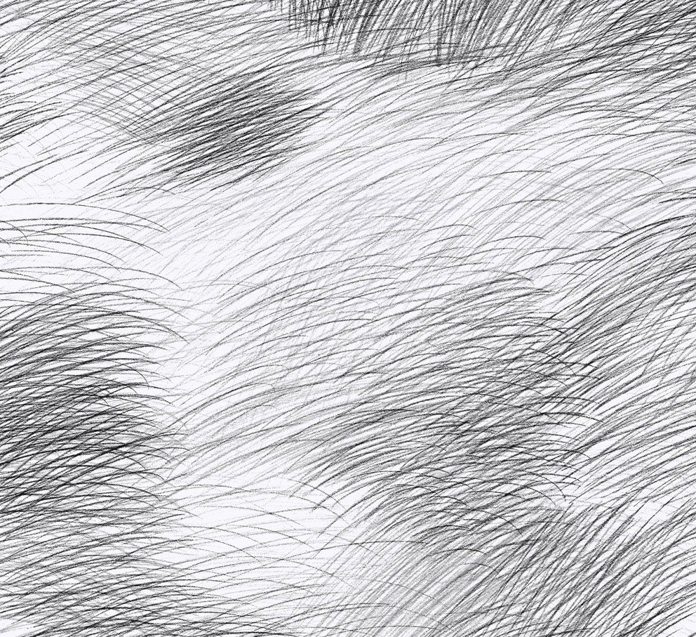 Marimekko Lepo, svart och vit tapet