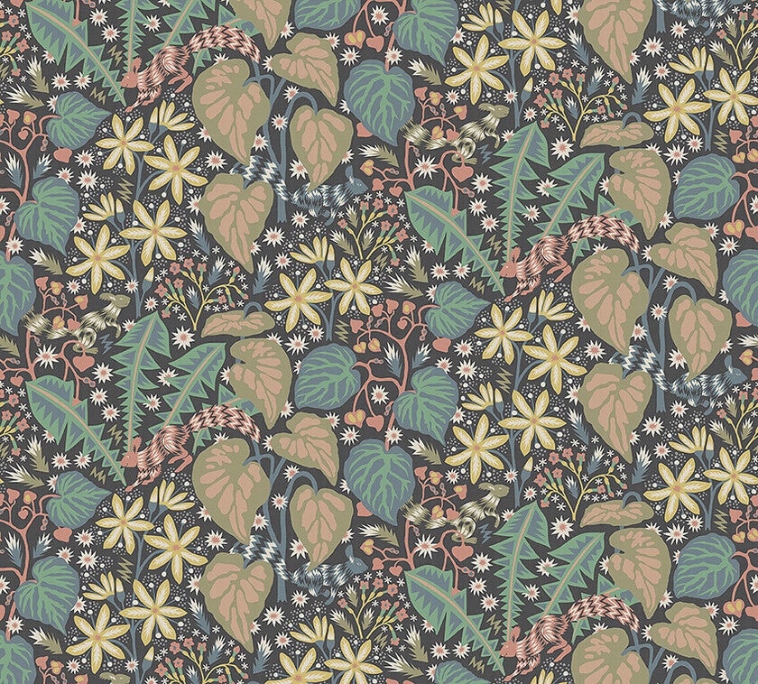 Zingkorre, multifärg