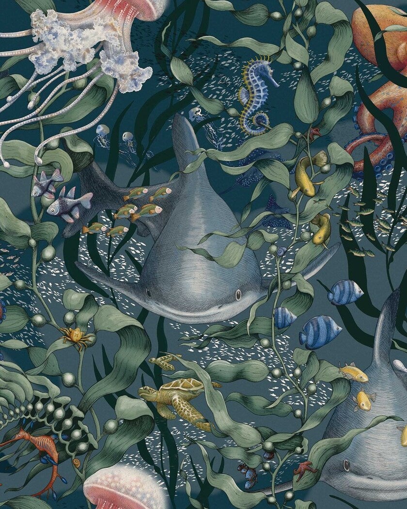 Underwater Magic, Multi