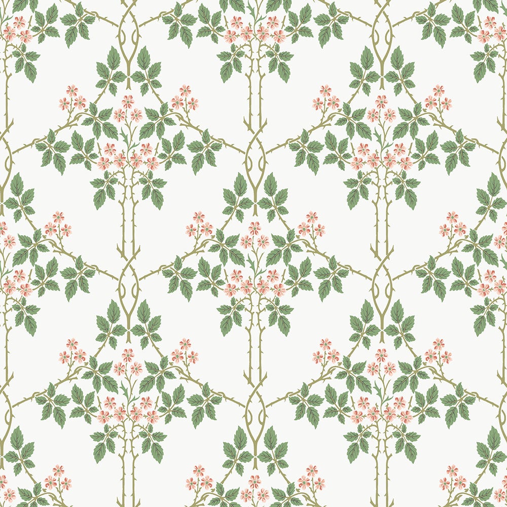 Blackberry 82054 tapet