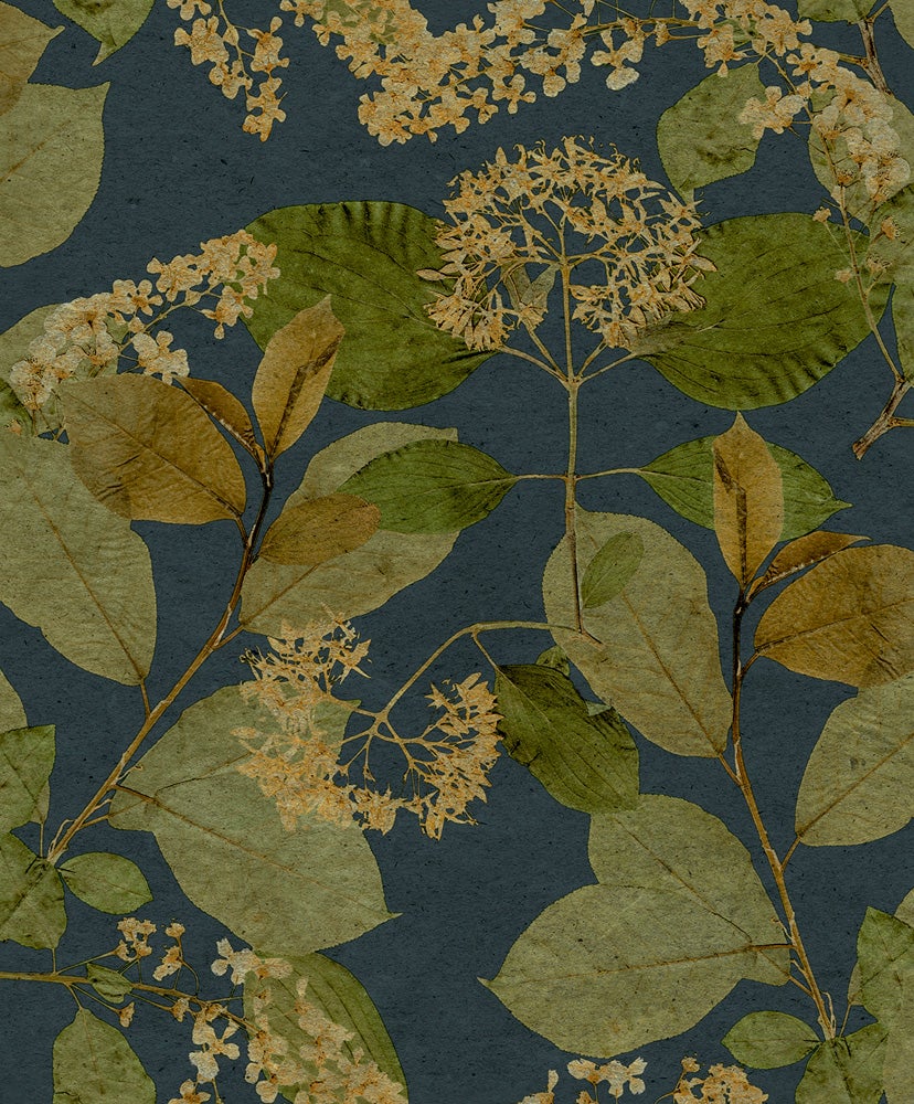 Castanum HE27233 tapet