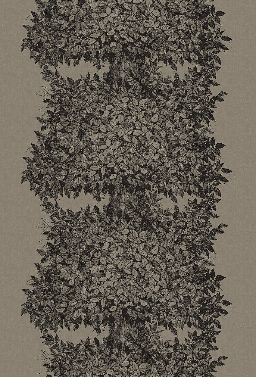 Viola Gråsten Hassel, brun