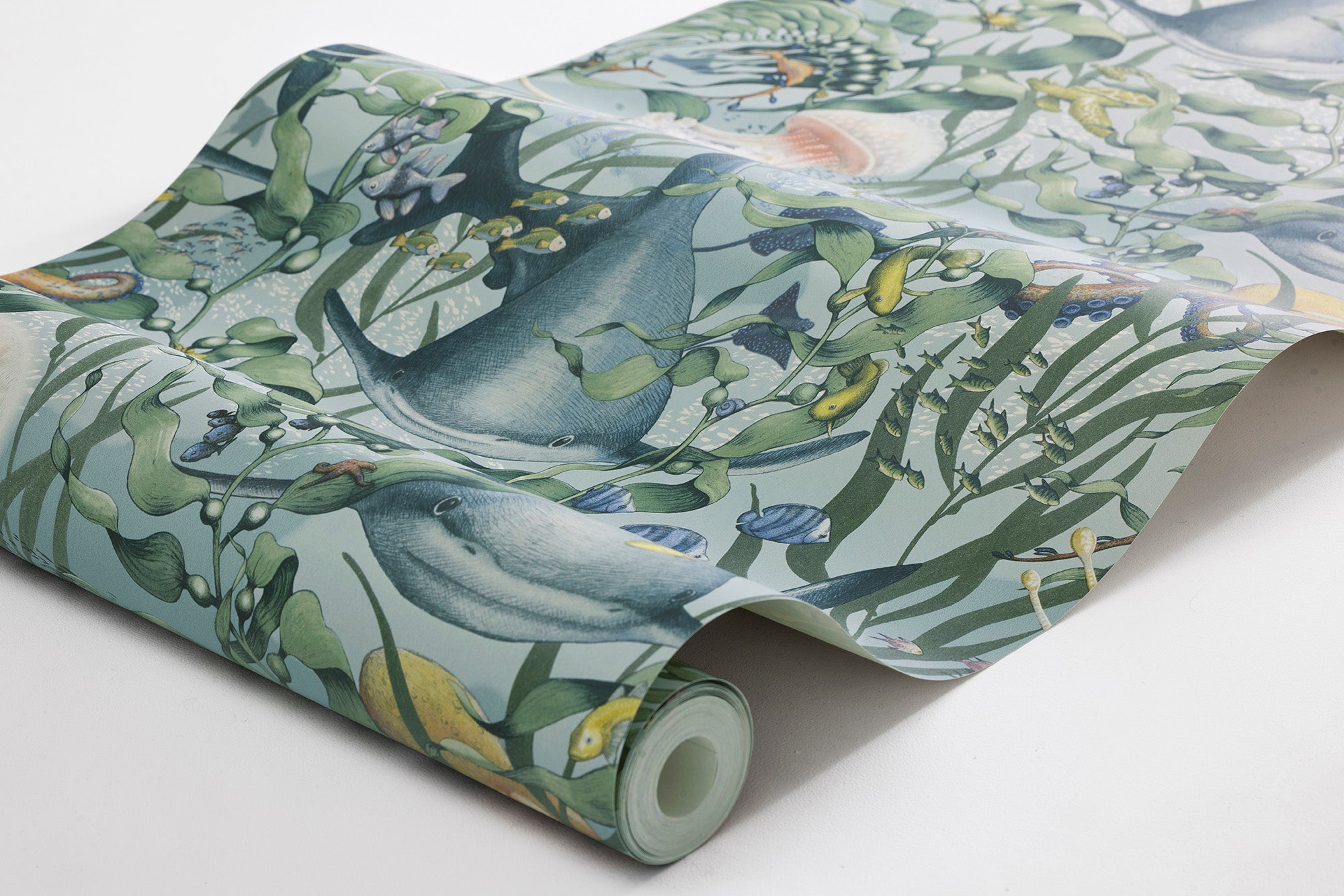 Underwater Magic, Turkos