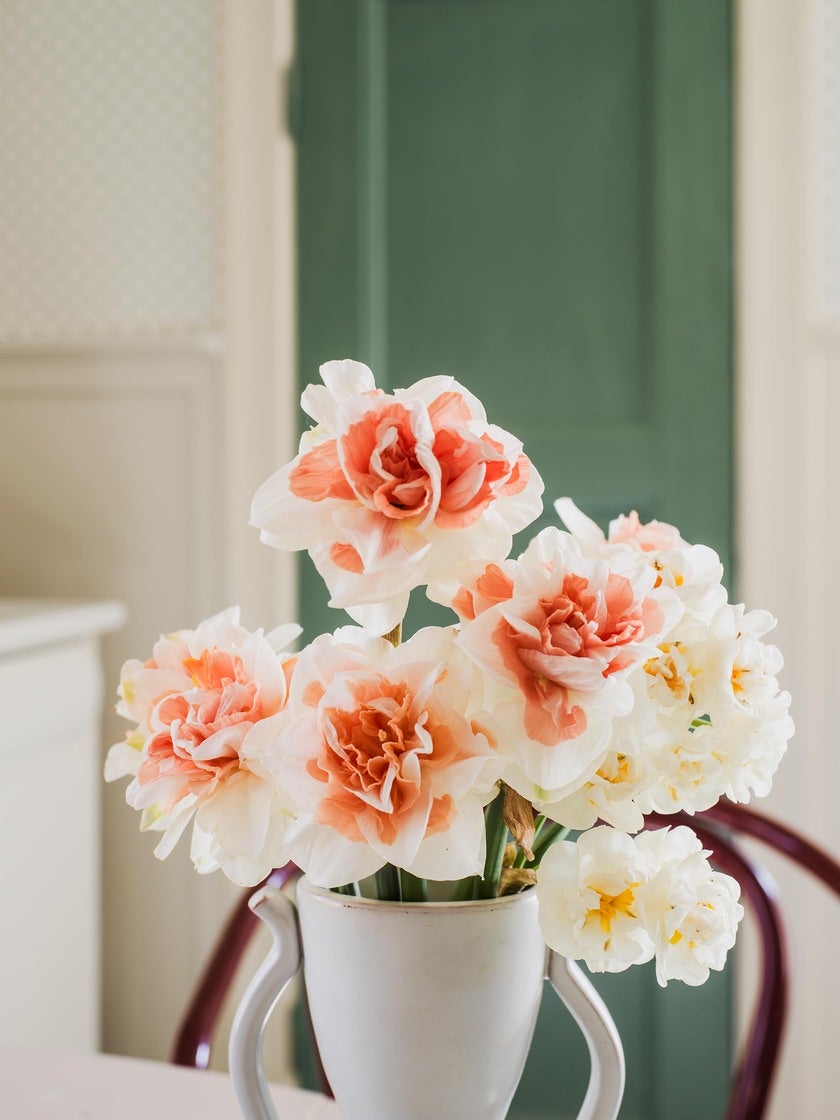 Skogsstjärna, Grön