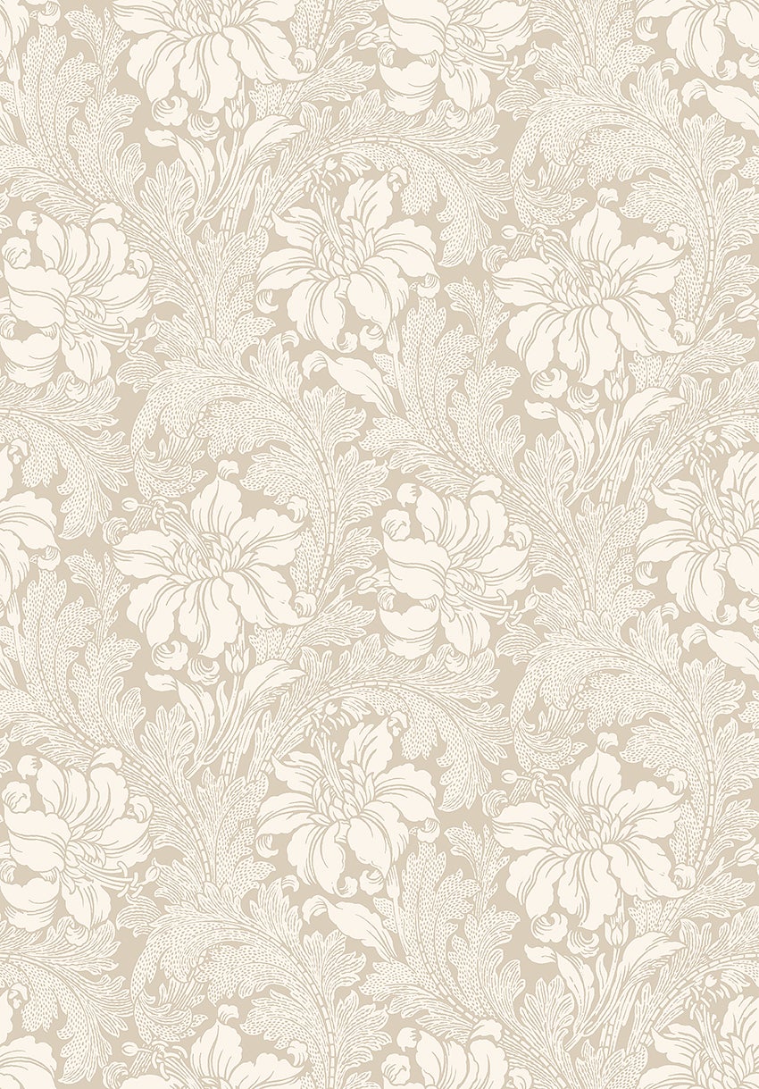 Acanthus storblommig, beige