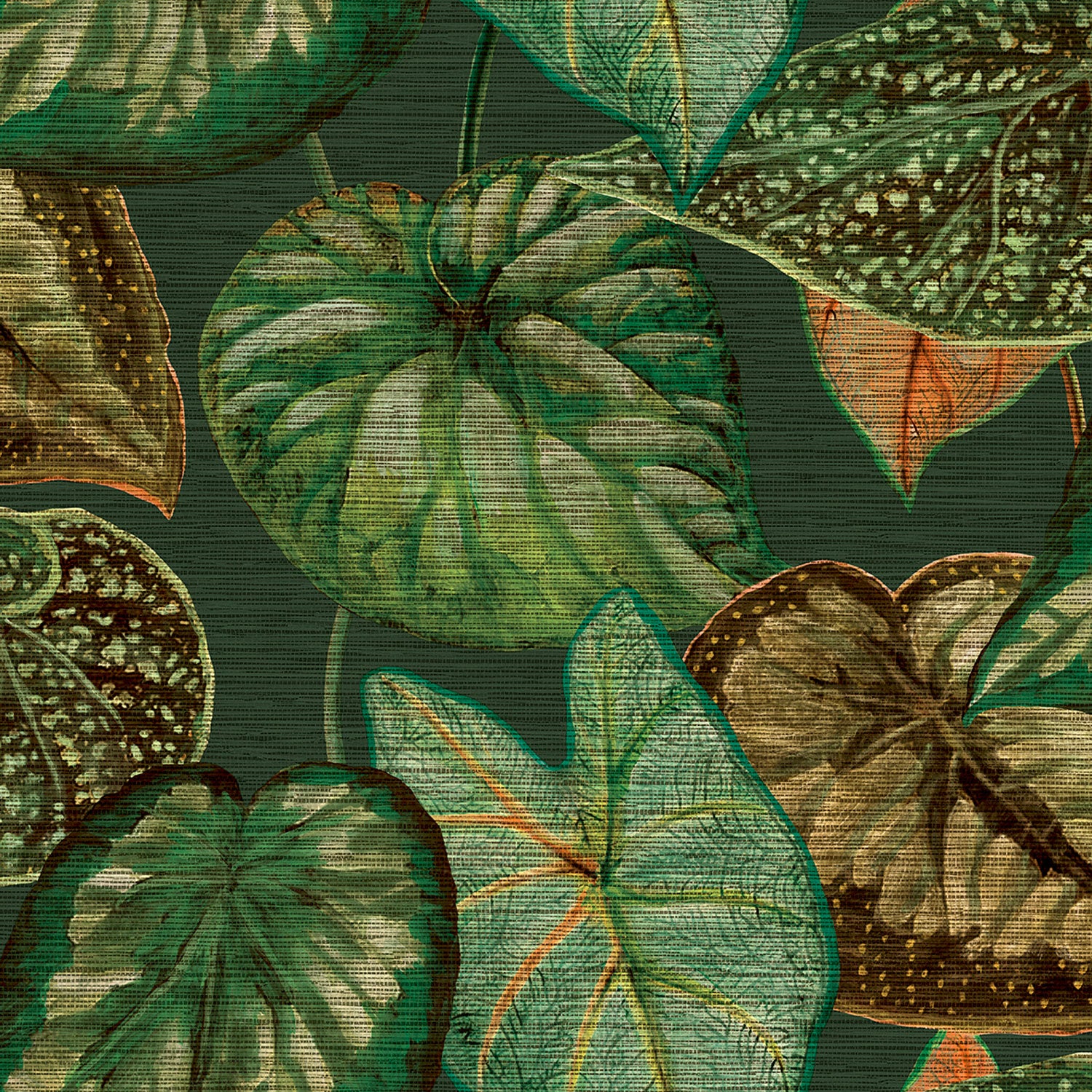 Tropical Leaves, mörkgrön tapet