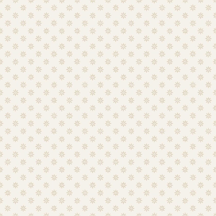 Skogsstjärna, Beige