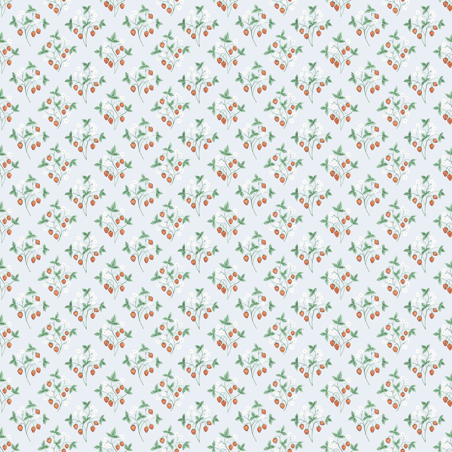 Jordgubb, ljusblå tapet