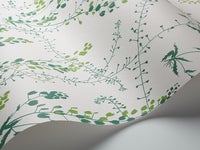 Bladranker, vit/grön