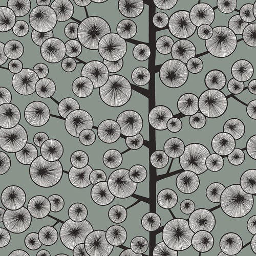 Cotton Tree Silvertown