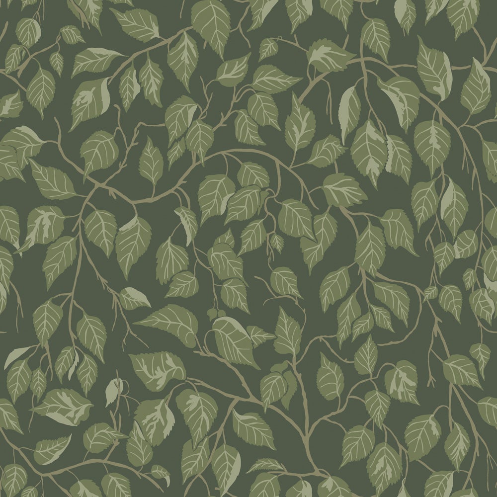 Hängbjörk 20108 tapet