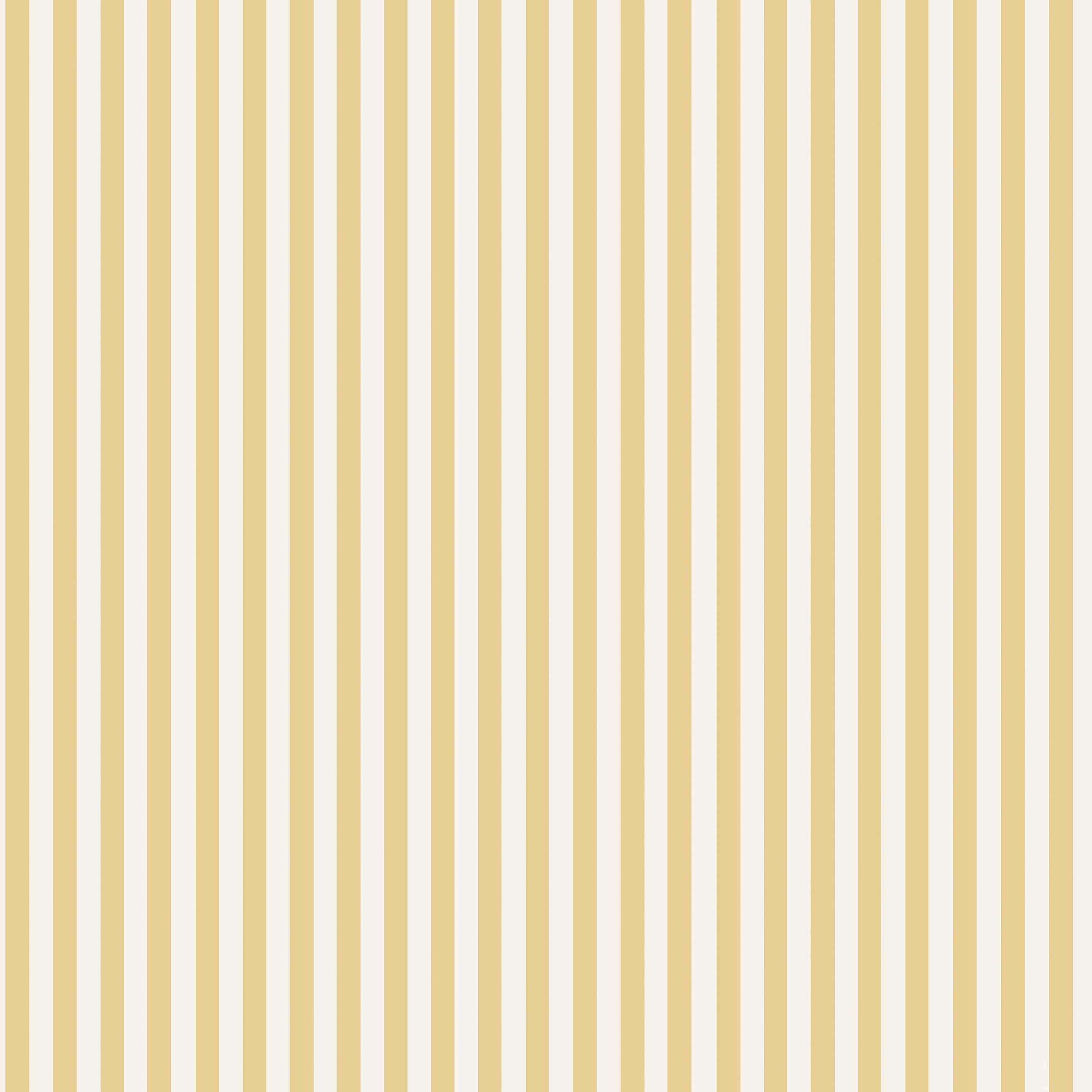 Mölle Stripe, Gul