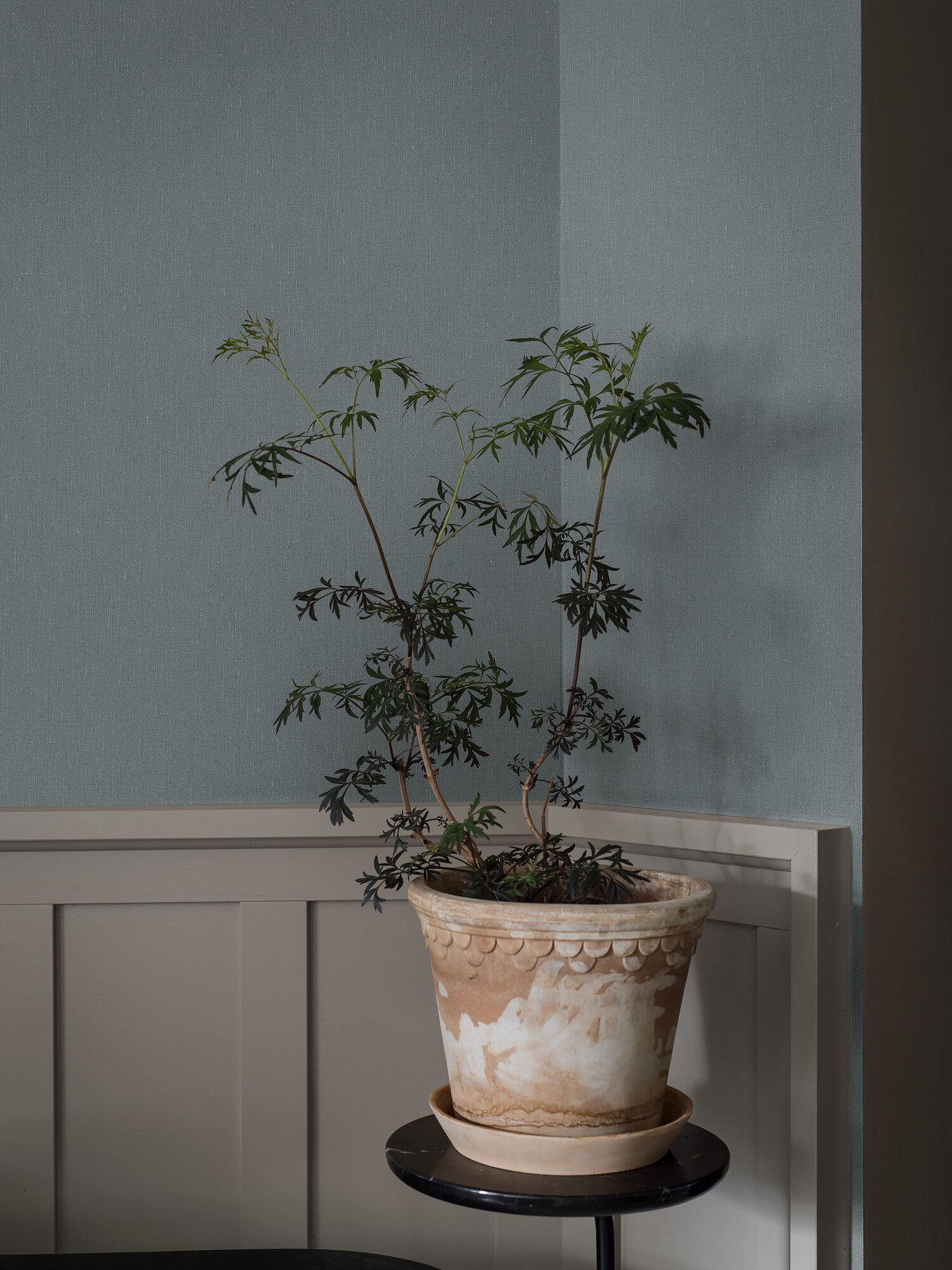 Dusty Denim tapet 4330