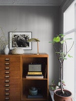 Grey Feather, grå 7541 tapet