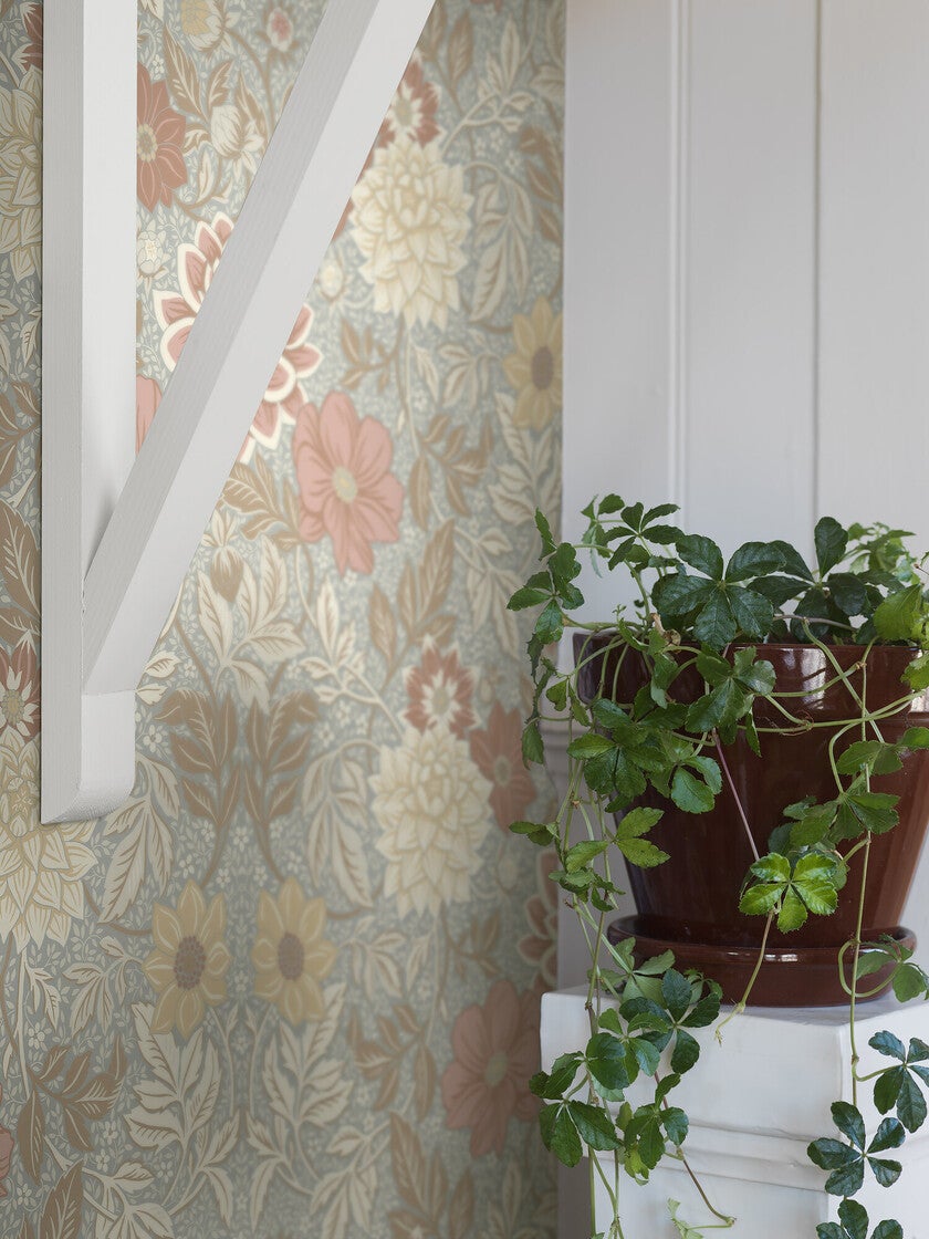 Dahlia Garden, pastellrosa