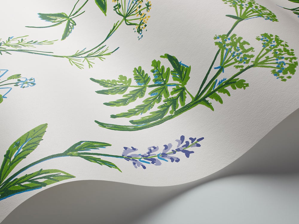 Köksväxter, vit/grön