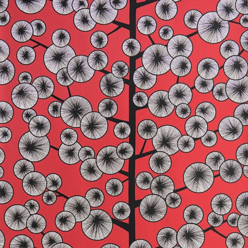 Cotton Tree , röd tapet