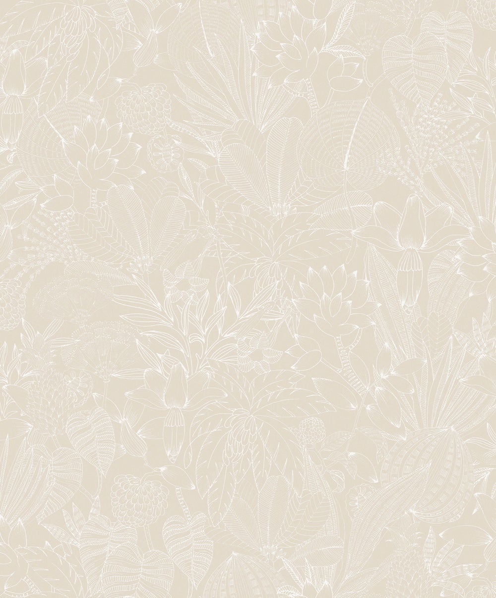 Bellis Angora ROM101