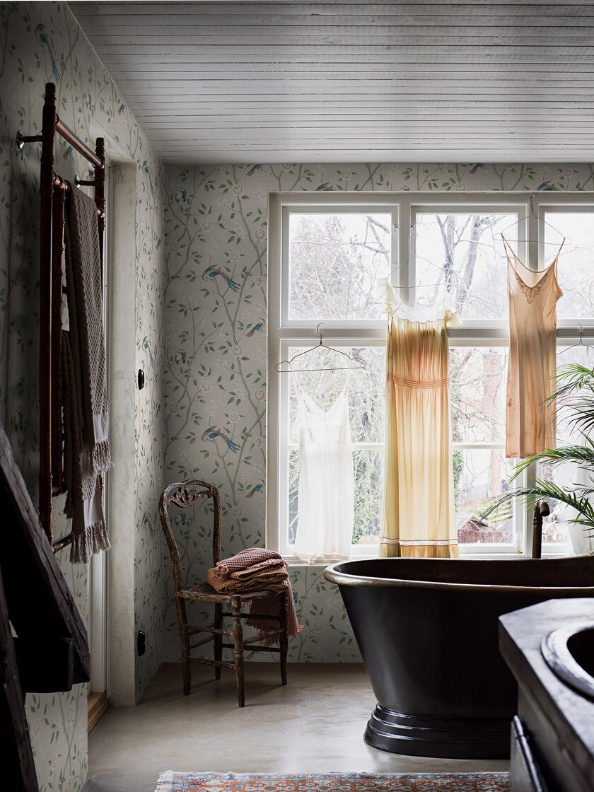 Paradise Birds tapet 4270