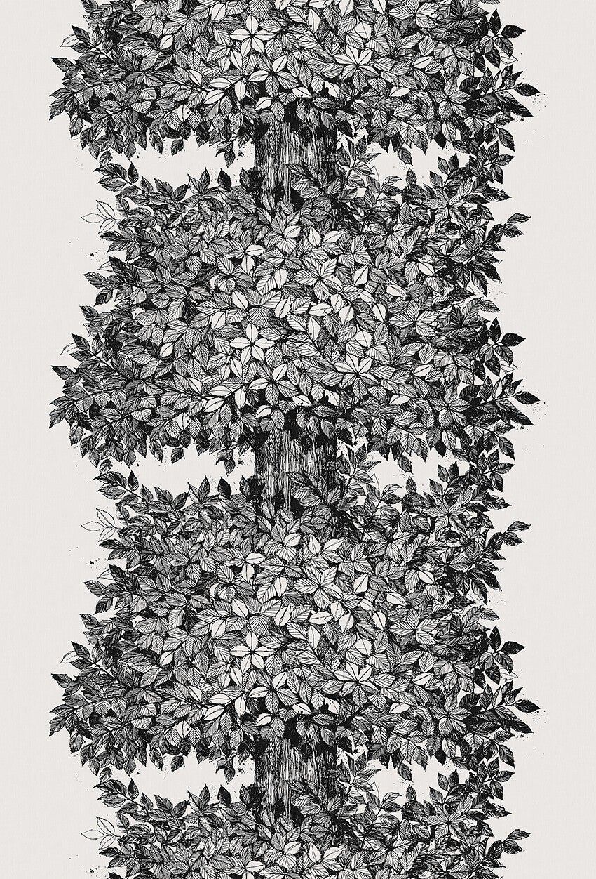 Viola Gråsten Hassel, vit/svart