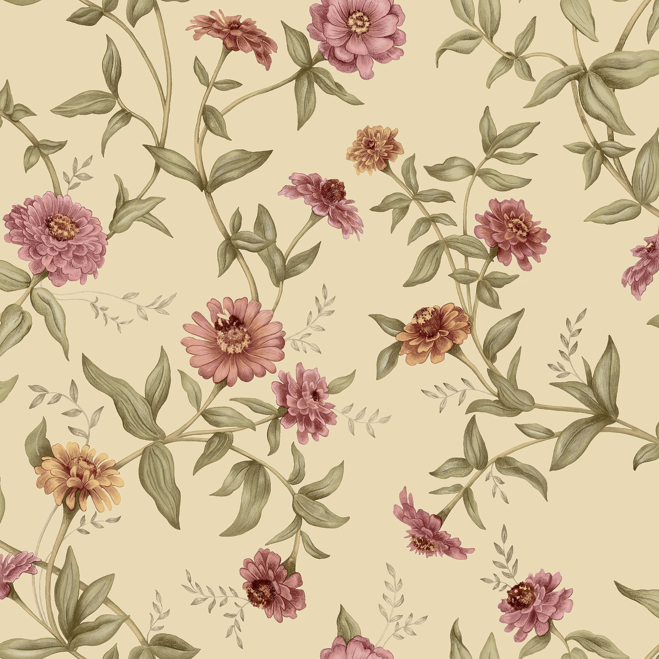 Zinnia, gul