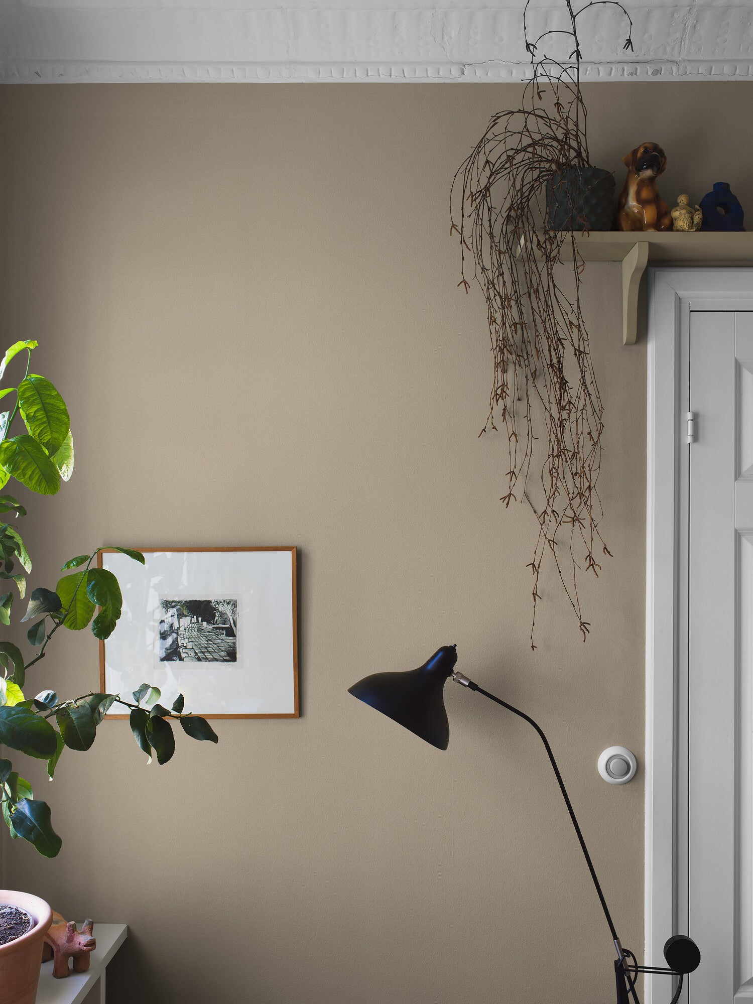 Sahara Sand, beige 7576 tapet