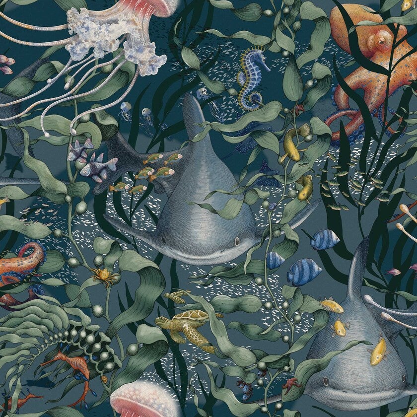 Underwater Magic, Multi