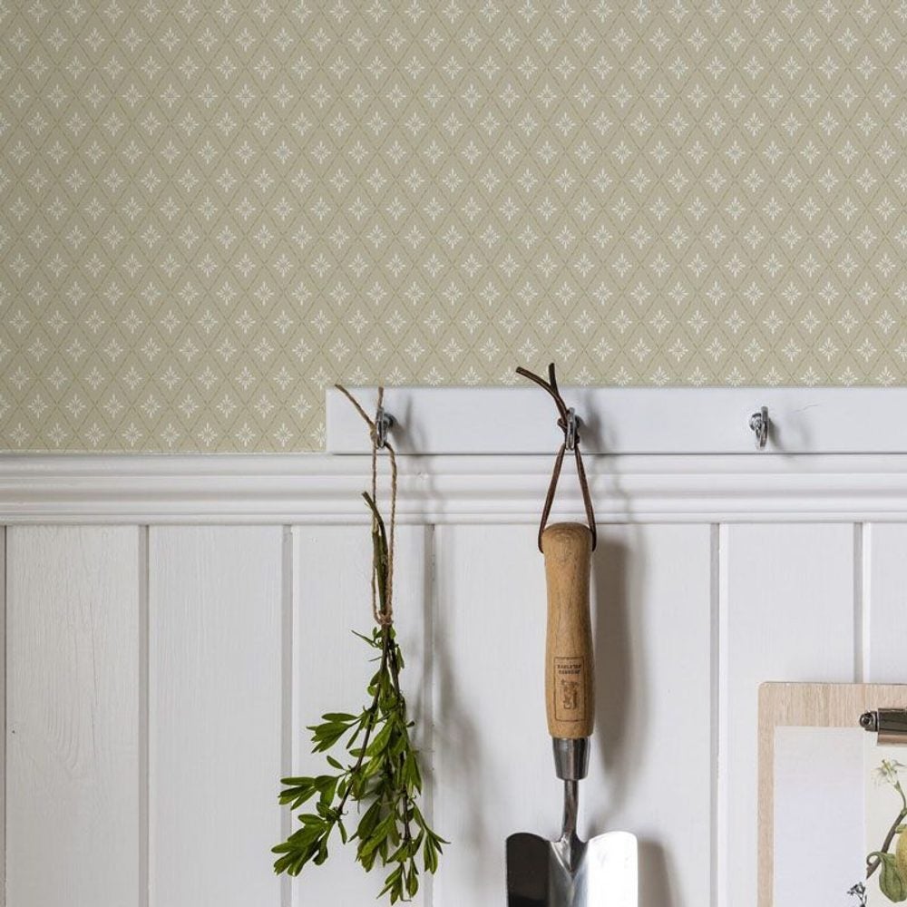 Lillstjärna Ljusgul