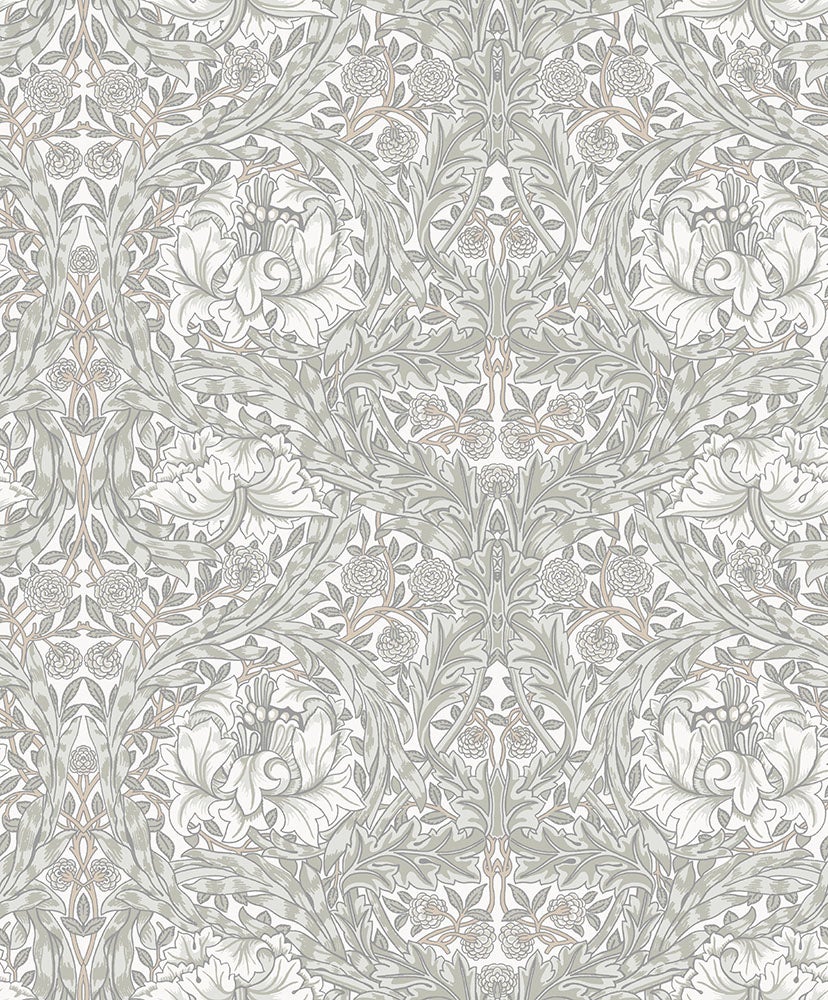 African Marigold, grå tapet