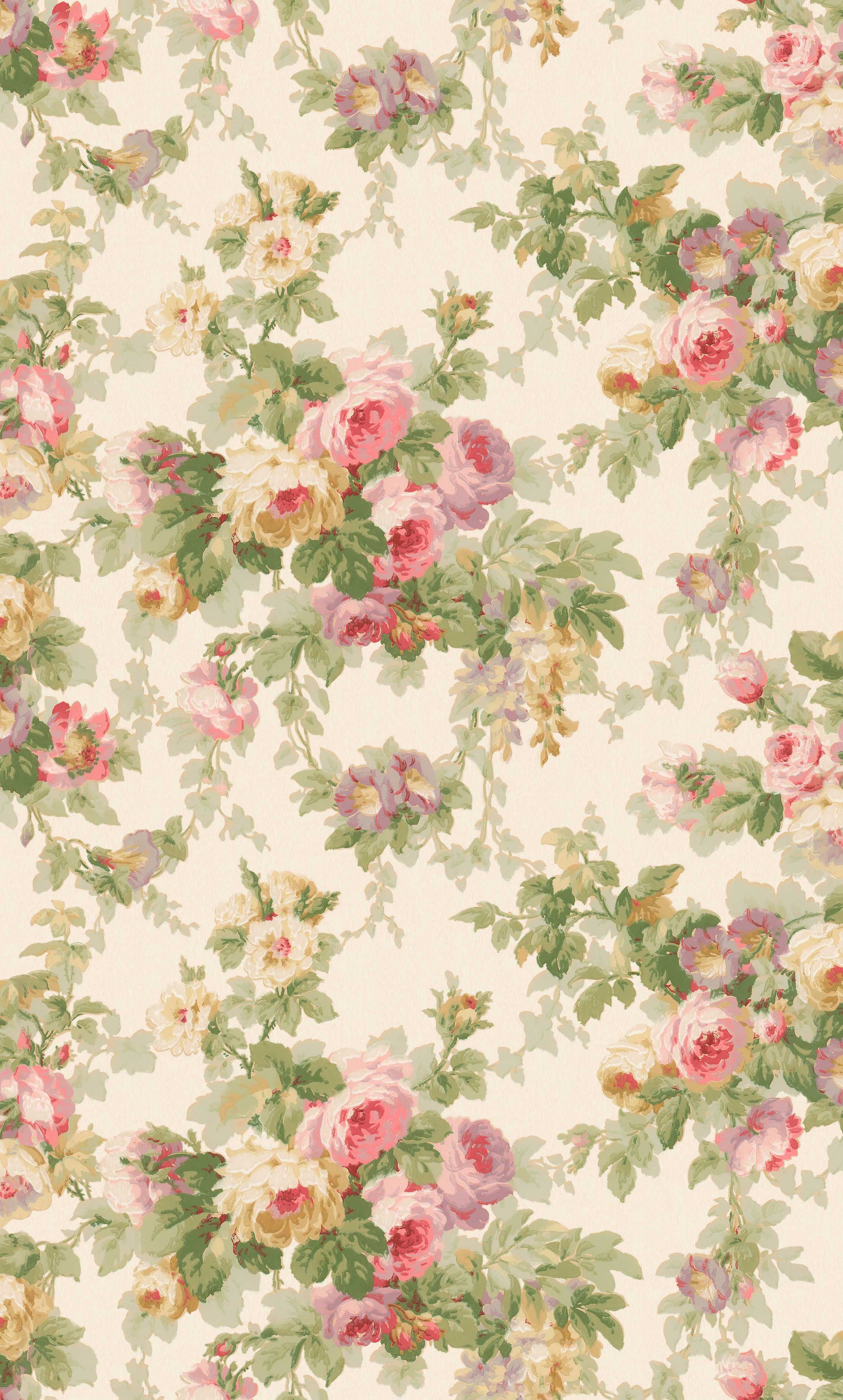 Sweet Dream Rose