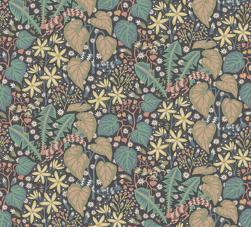 Zingkorre, multifärg