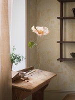 Kingdom of the Willow, Gul