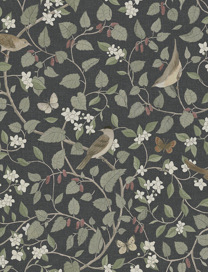 Sångfåglar, tapet i svart