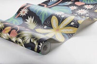 Zingkorre, multifärg