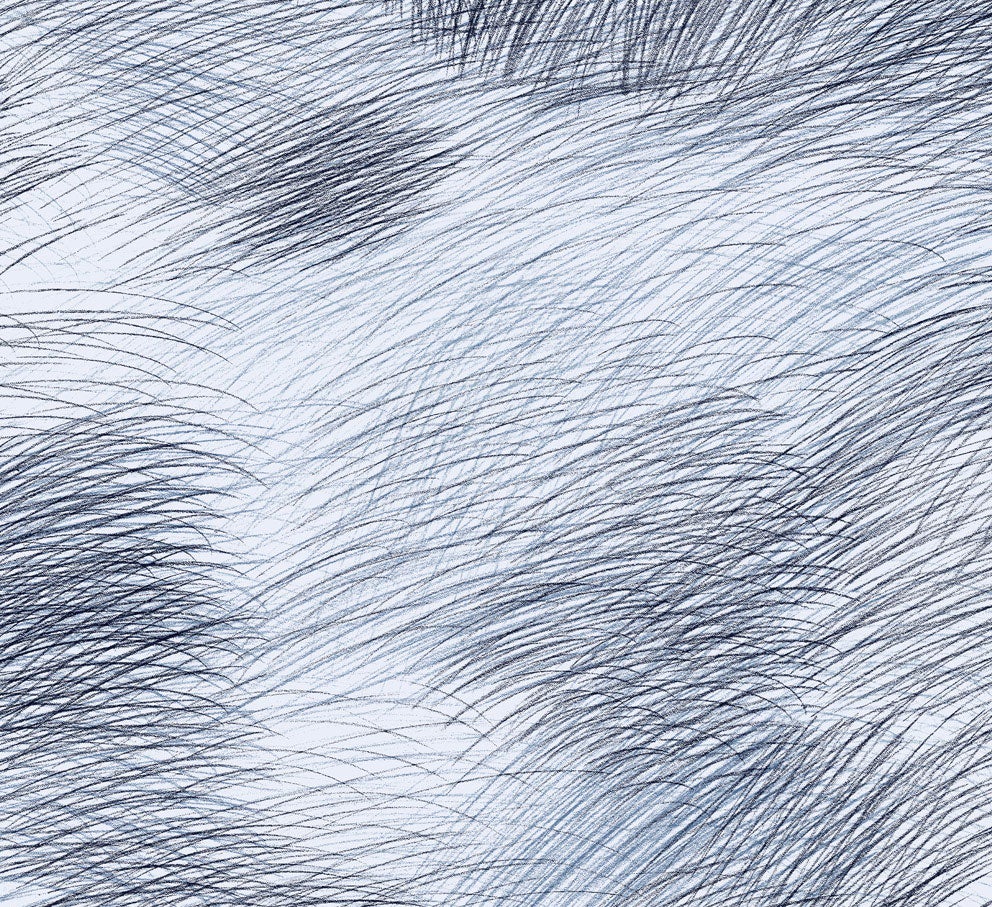 Marimekko Lepo, ljusblå tapet