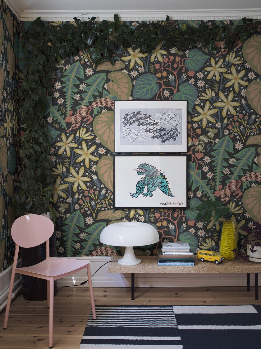 Zingkorre, multifärg