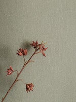 Soft Olive tapet 4335