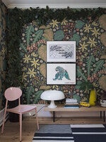 Zingkorre, multifärg